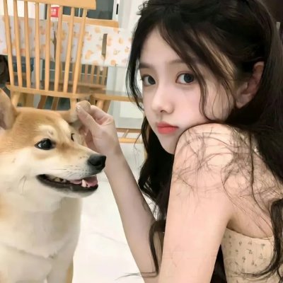 情来.算尽爱